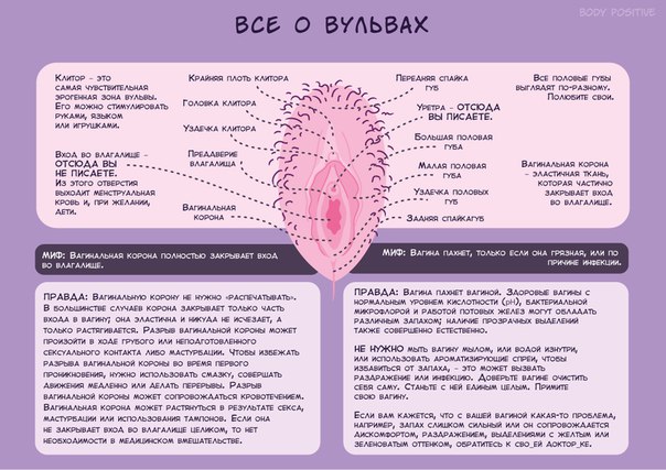 Уродливая вагина - ответов на форуме beton-krasnodaru.ru () | Страница 3